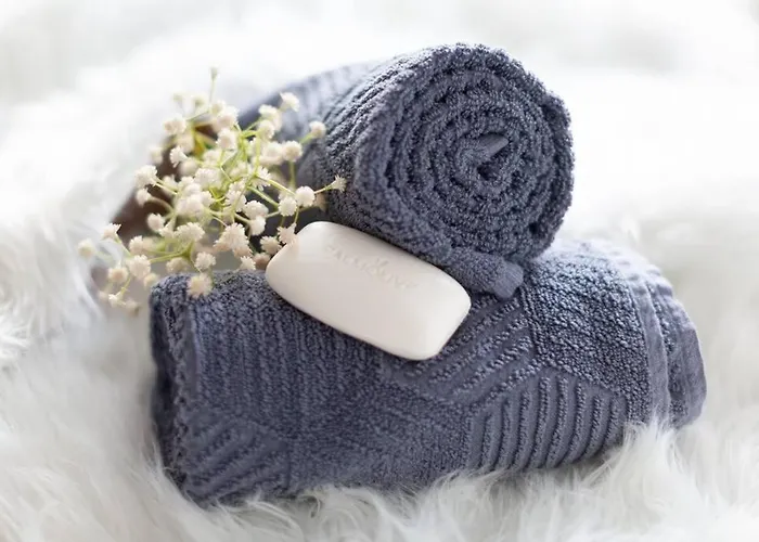 Appartement Equipped Netflix Wlan Centro Olga-park Oberhausen (North Rhine-Westphalia)